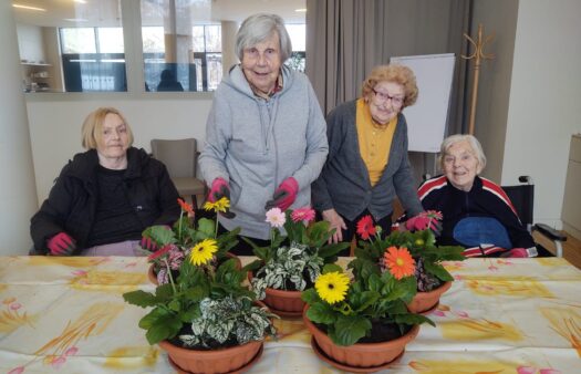 Sázení květin s klientkami SeniorCentra Klamovka